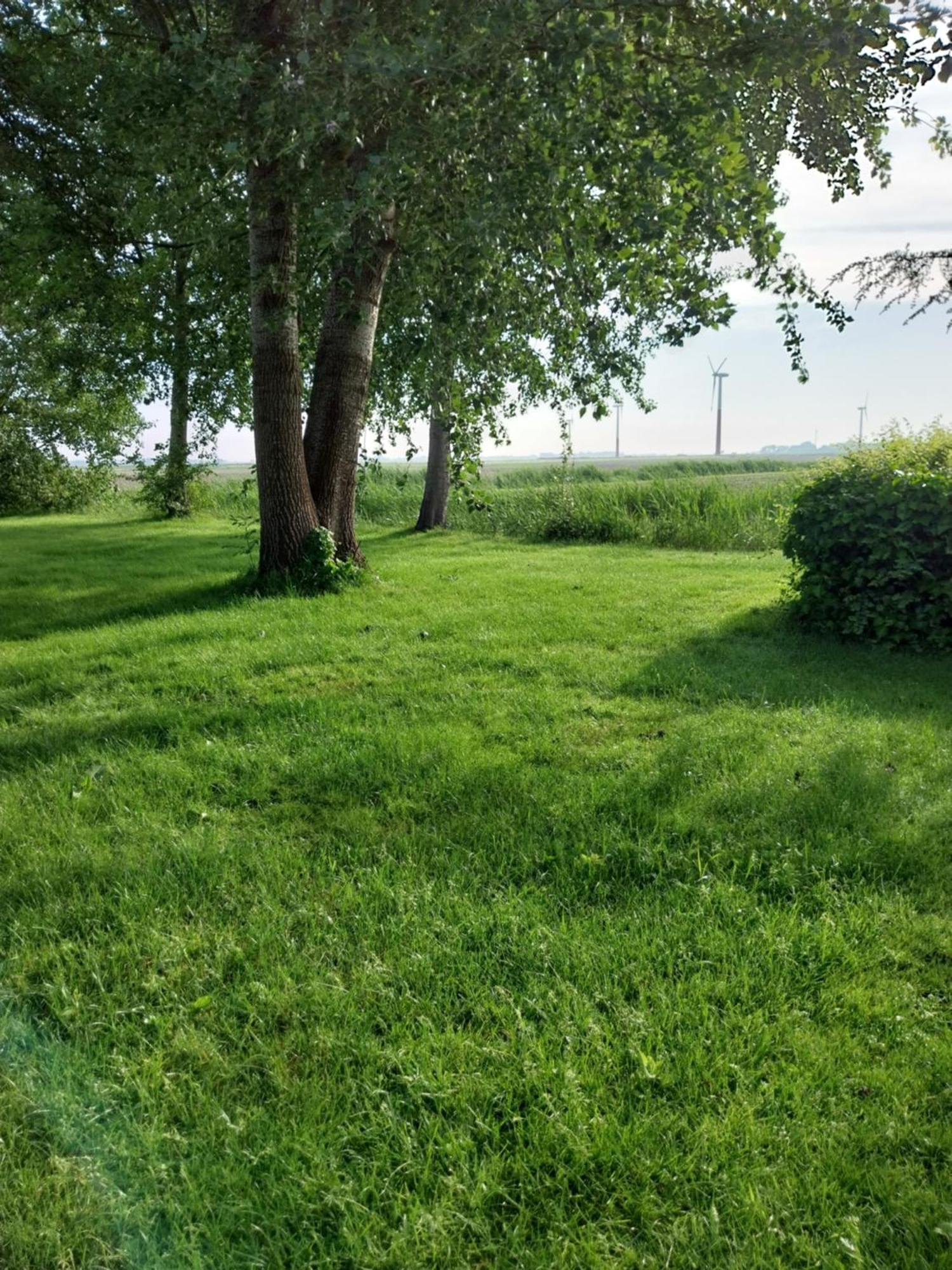 Wad Fijn Vila Sexbierum Exterior foto